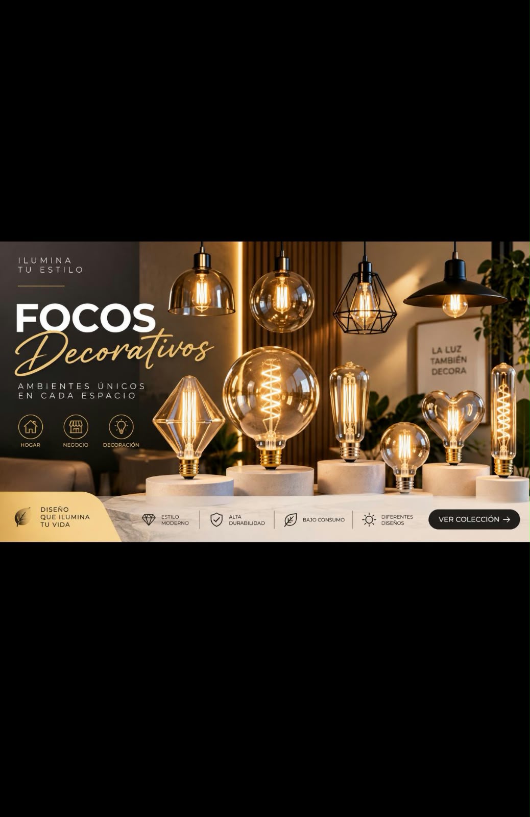 FOCOS DECORATIVOS